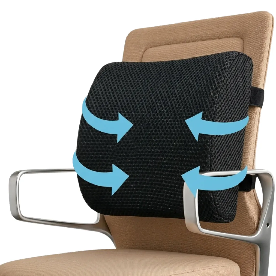 Back Support Pillow